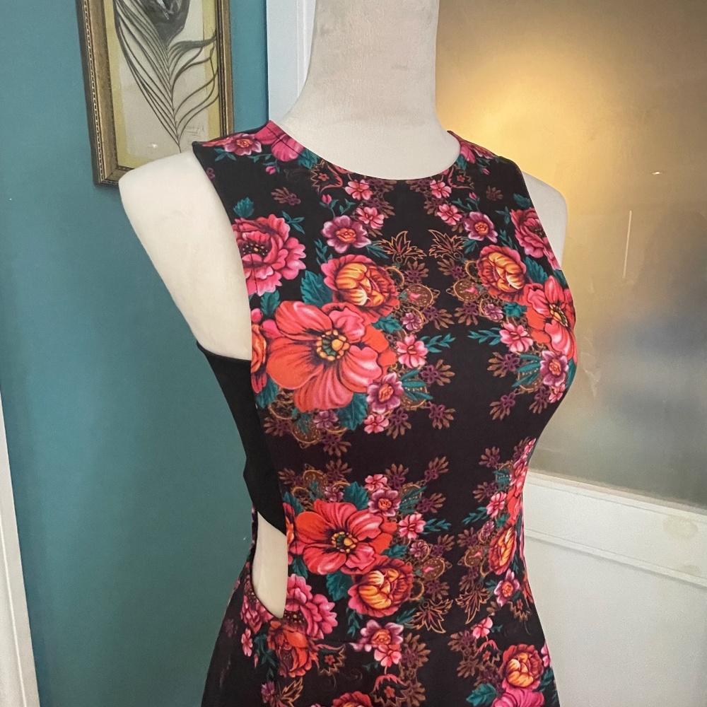 Ronny Kobo Designer Dress w/Peek a Boo  side panels